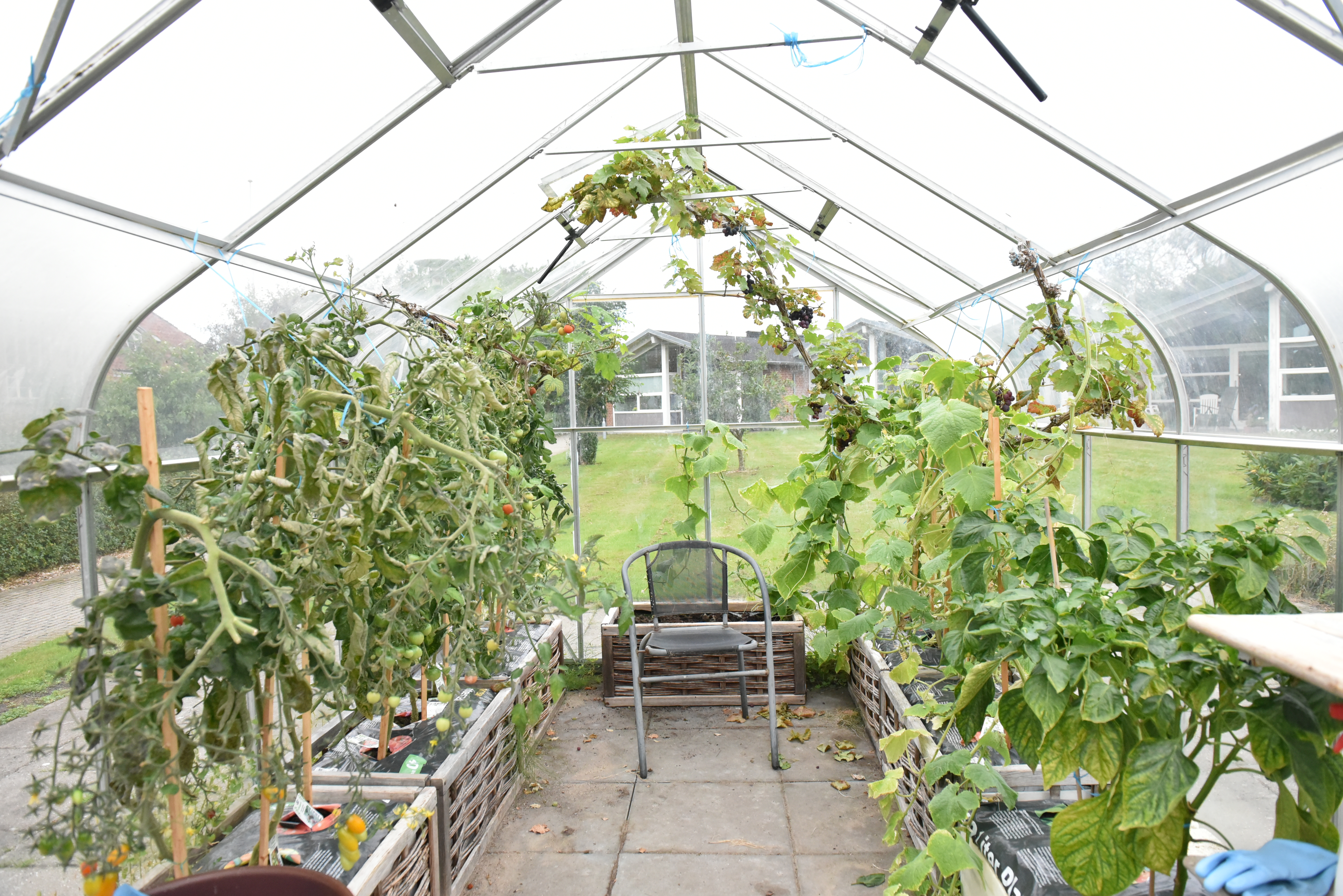 Drivhus hos Fårup Ældrecenter