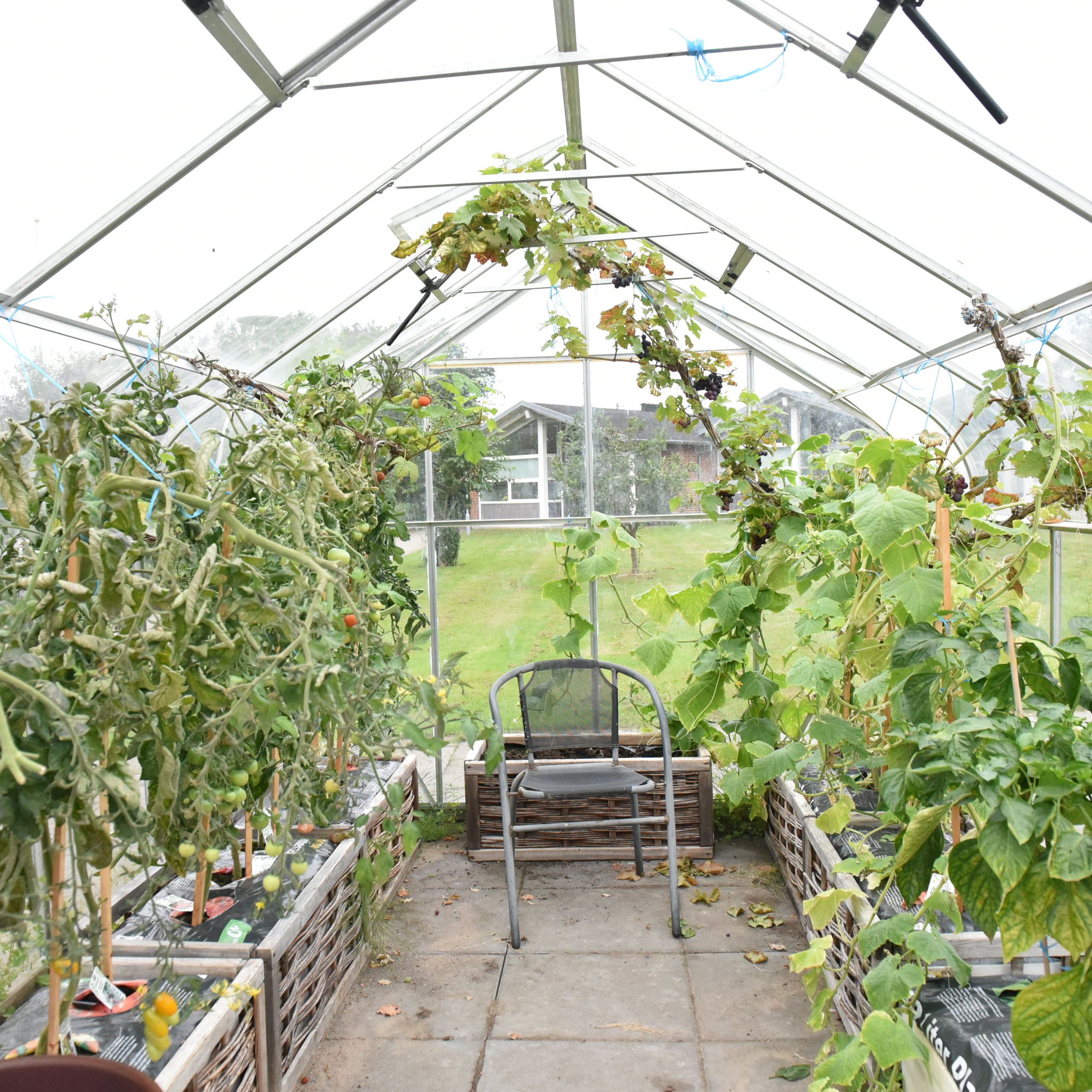 Drivhus hos Fårup Ældrecenter