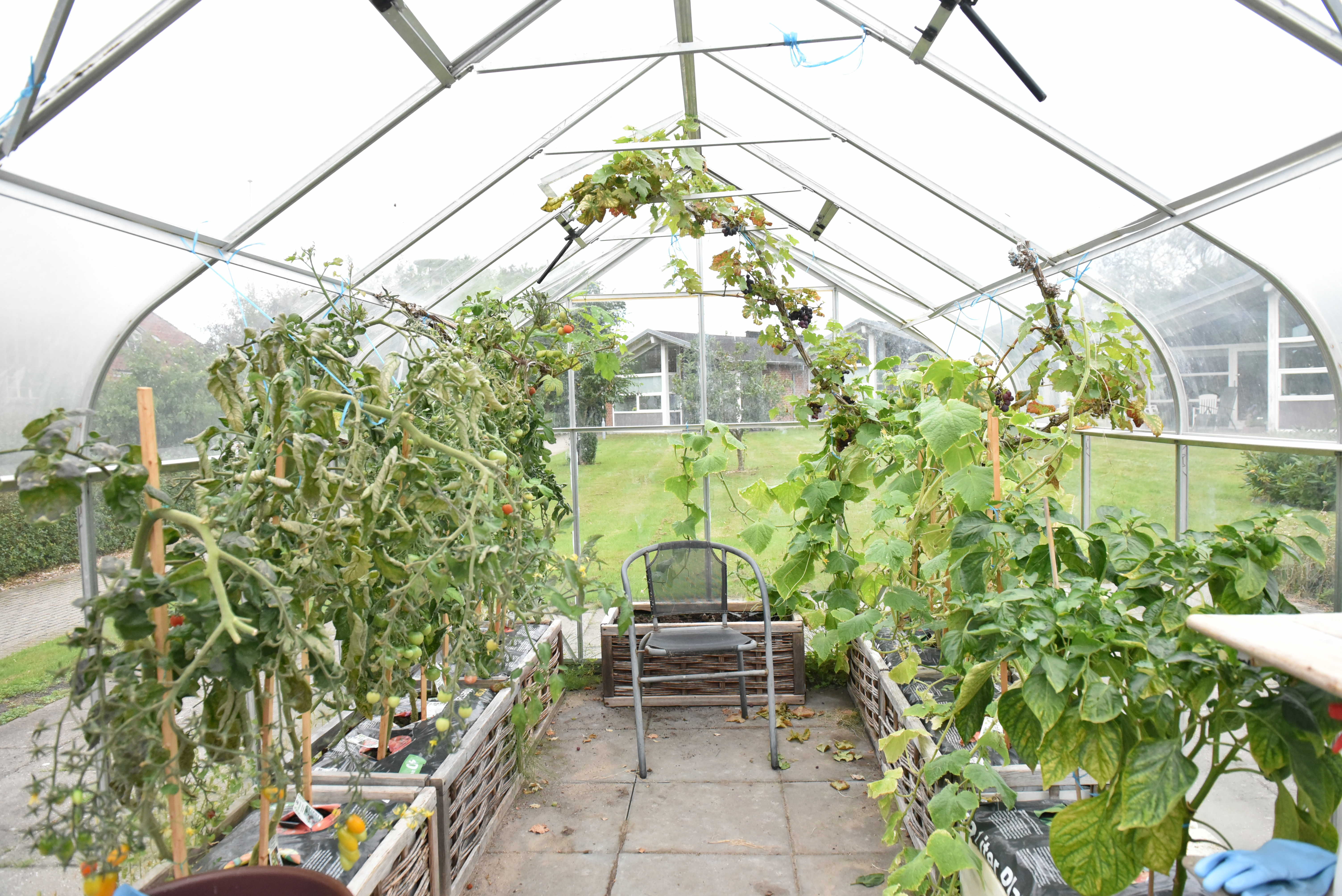 Drivhus hos Fårup Ældrecenter