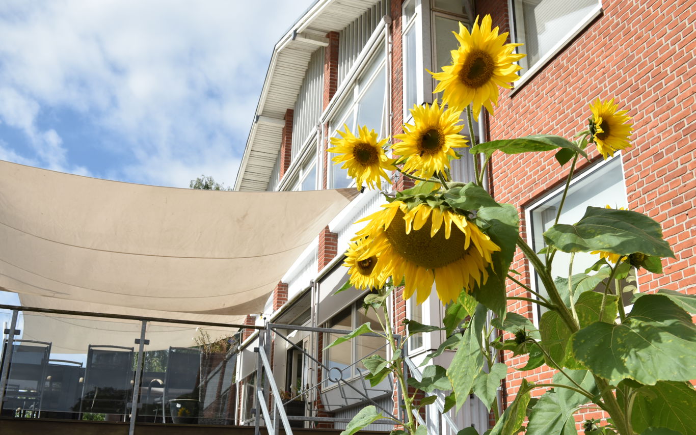 Overdækket terrasse hos Fårup Ældrecenter