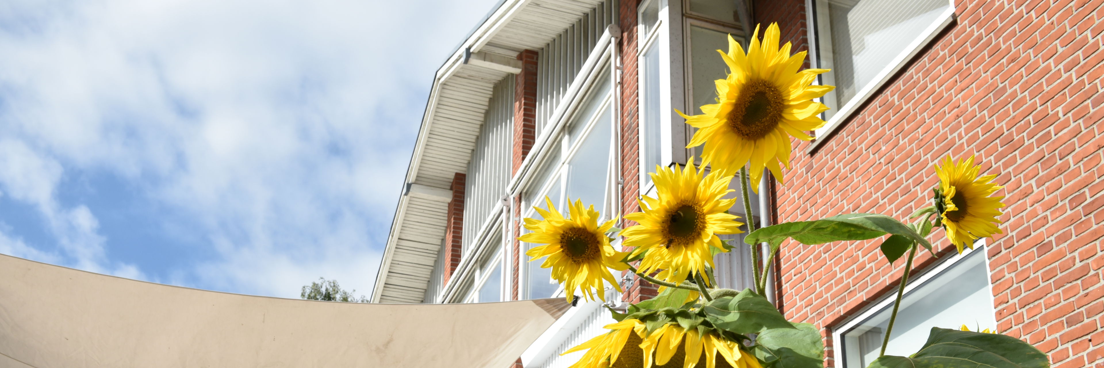 Overdækket terrasse hos Fårup Ældrecenter