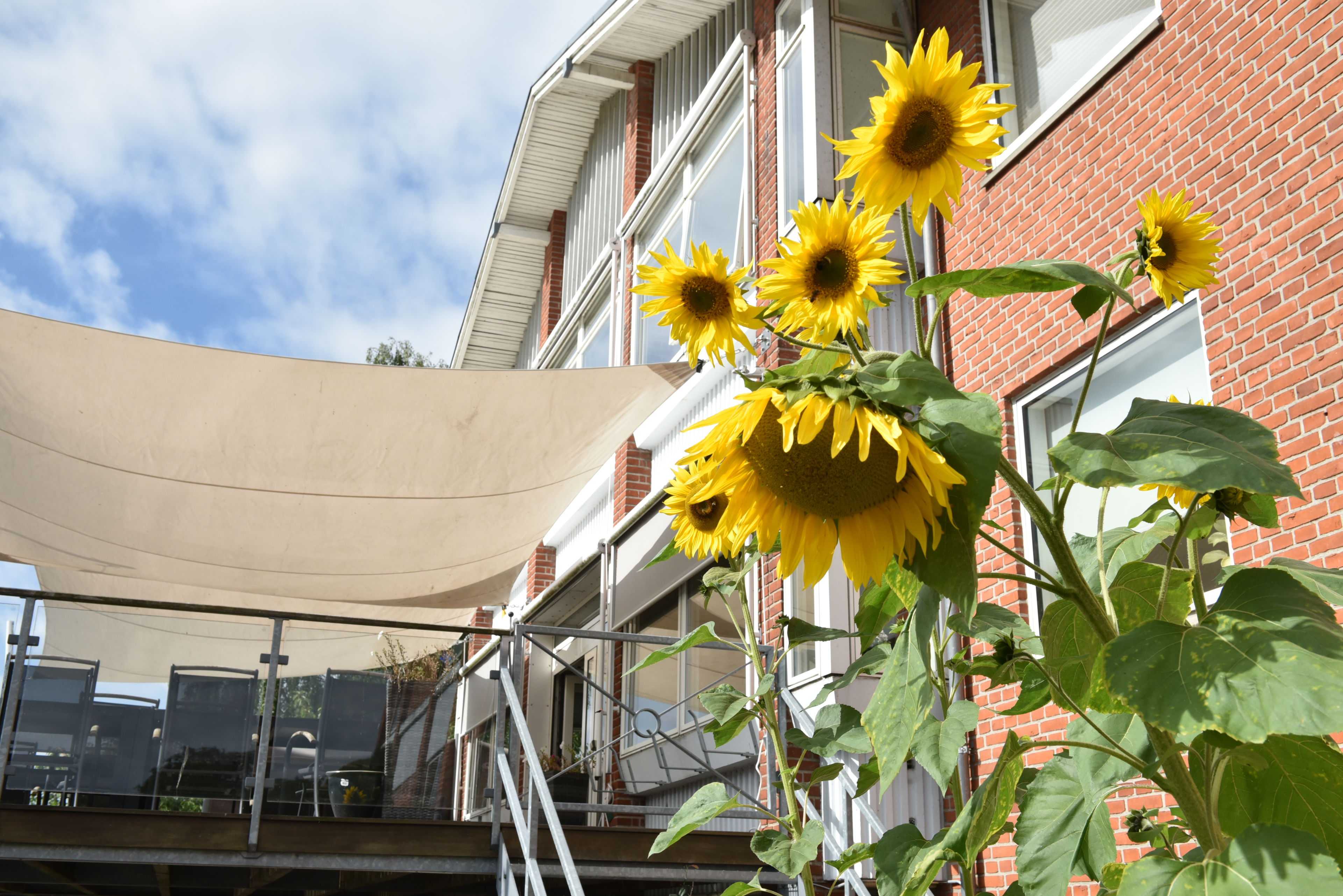Overdækket terrasse hos Fårup Ældrecenter