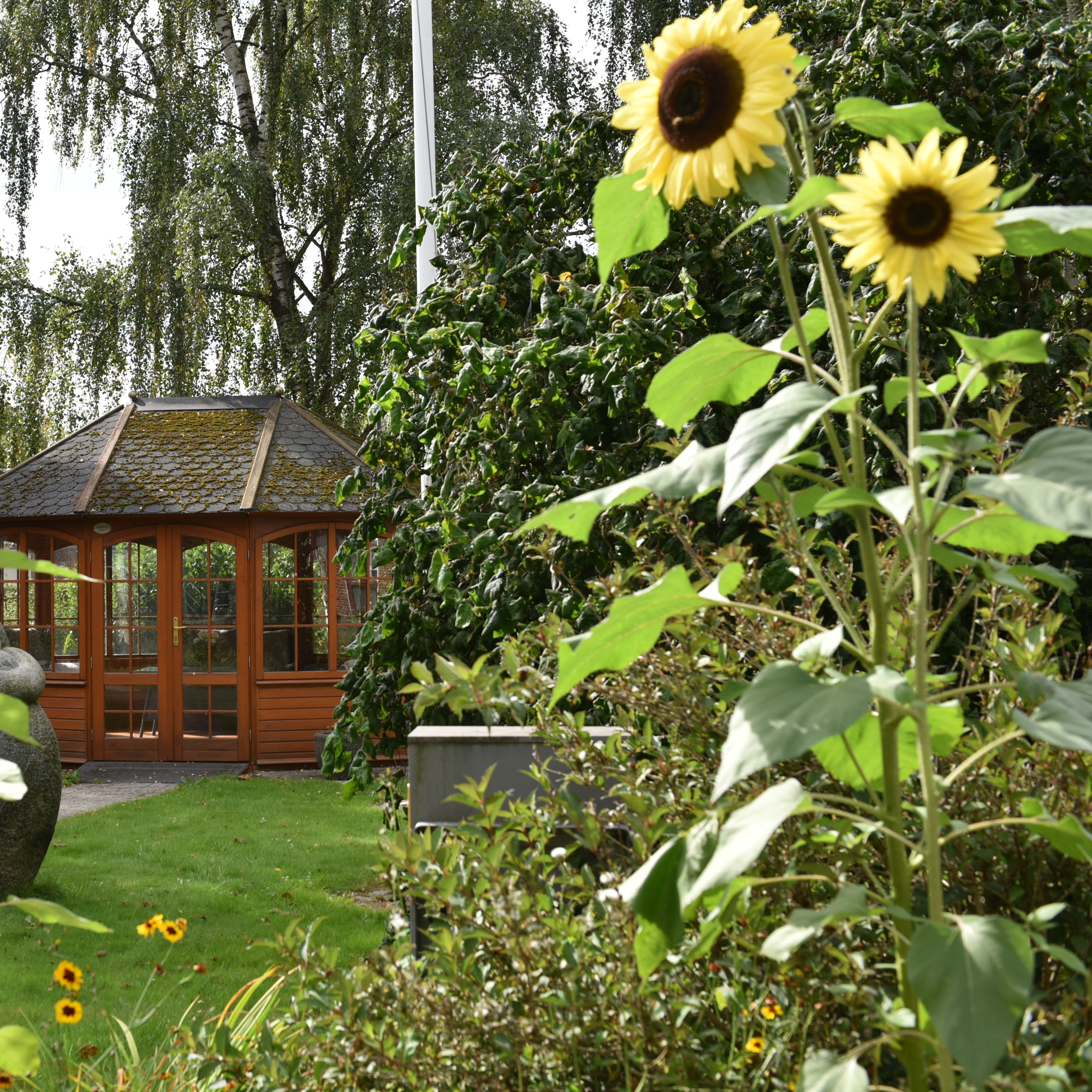 Have med pavillon i træ hos Fårup Ældrecenter