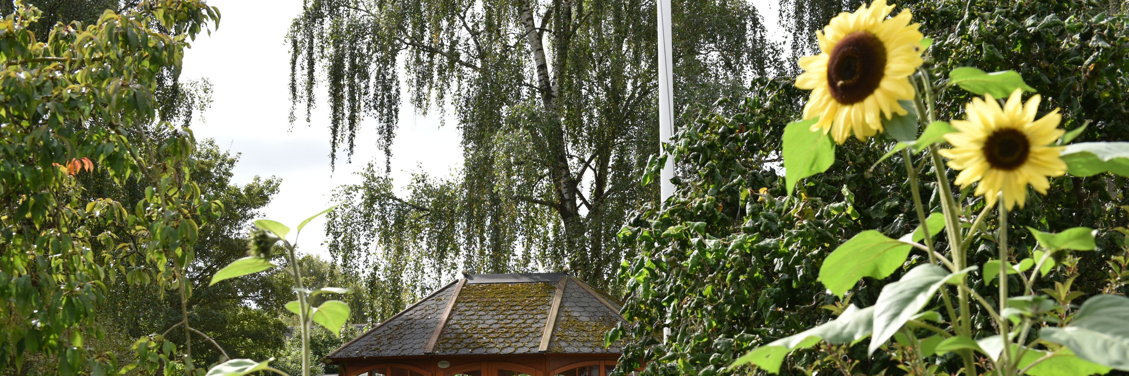 Have med pavillon i træ hos Fårup Ældrecenter